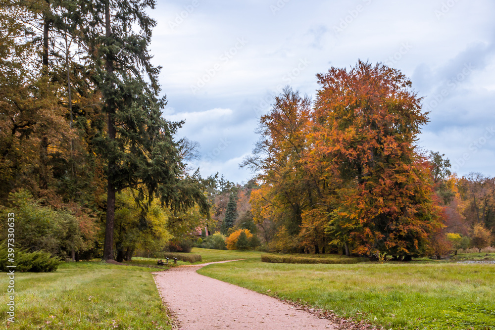 Autumn trees alley with colorful leaves in the park Autumn trees alley with colorful leaves in the park