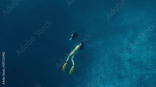 Freediving or snorkeling trips. Large turtle and young girl swimming underwater together in slow motion. Active holidays on islands, on coast of ocean or sea. Unique contact with tropical animals.