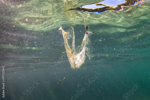 Plastic in the ocean, Sydney Australia photo