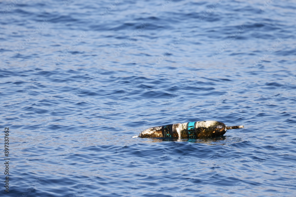 Fototapeta premium lobster buoy