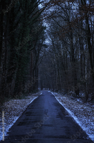 Asphalt road through dark winter forest © Sebastian