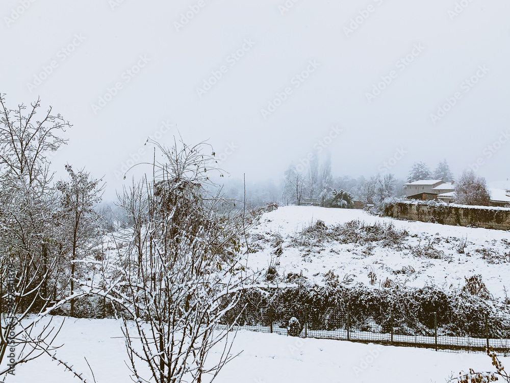 custom made wallpaper toronto digitalsnow covered trees