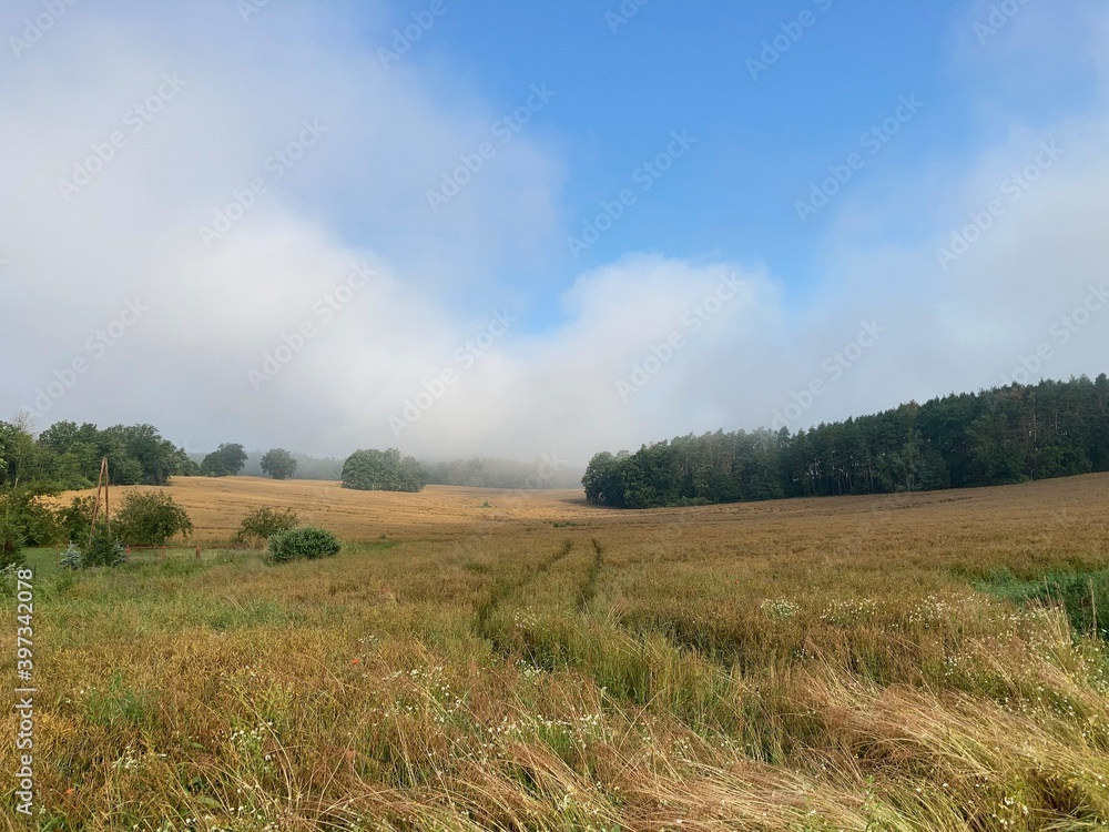 field and blue sky during the foggy morning
