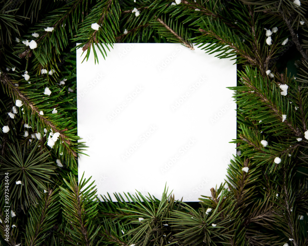 Creative layout  made of fir tree branches with white square shape paper and snowflakes, Christmas and New Year's card concept, flat lay, top view