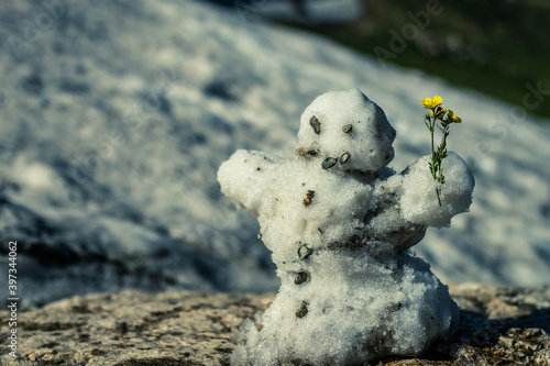 Small snowman with flower in left hand builded in summer in rocky moutains national park in america