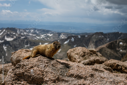 Whiz stands on top of Longs peak in rocky mountain national park in america