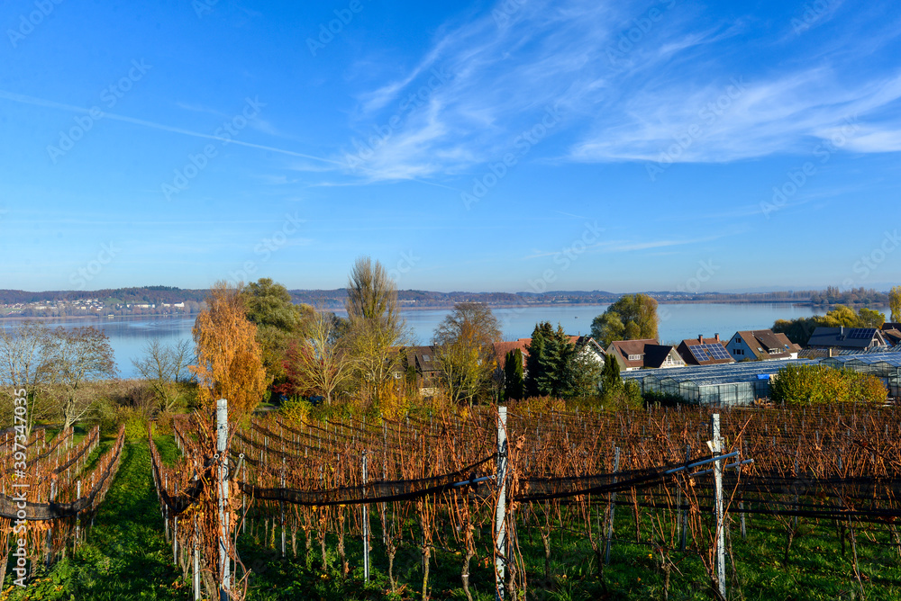 Weinbauinsel Reichenau Bodensee