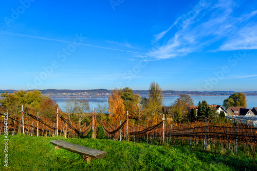 Weinbauinsel Reichenau Bodensee photo