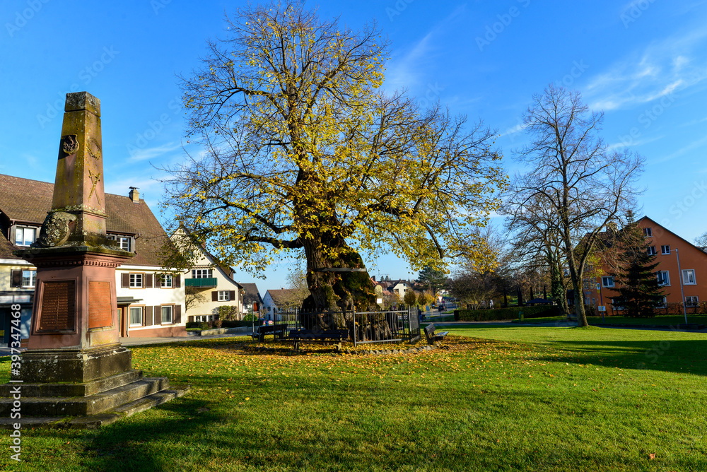 Obraz premium Heimatmuseum Insel Reichenau