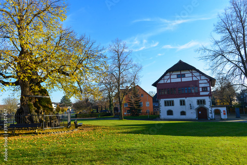 Heimatmuseum Insel Reichenau