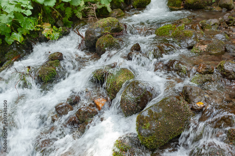 Large stones covered with green moss in mountain river Large stones covered with green moss in mountain river