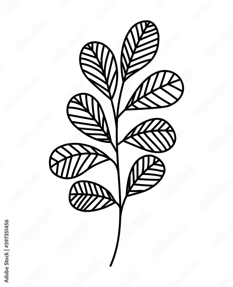 stem with eight leaves in the sides