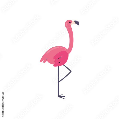 Pink flamingo bird flat style icon vector design