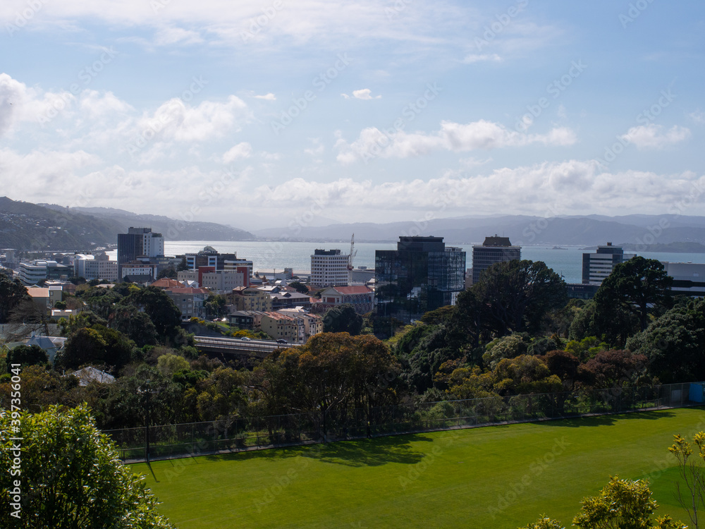 Wellington Cityscape And Harbour