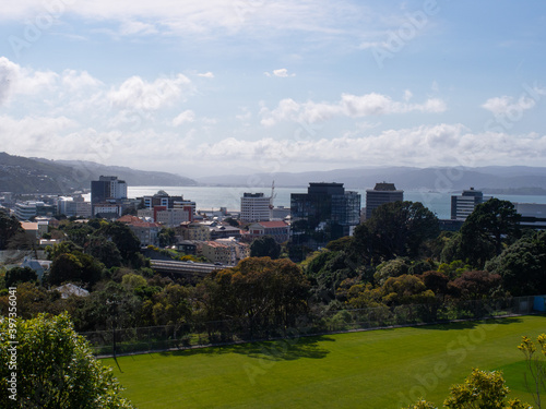Wellington Cityscape And Harbour © mcgimpseymike