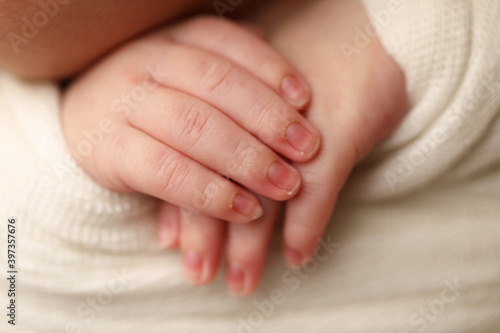 Hands of a newborn baby close up.