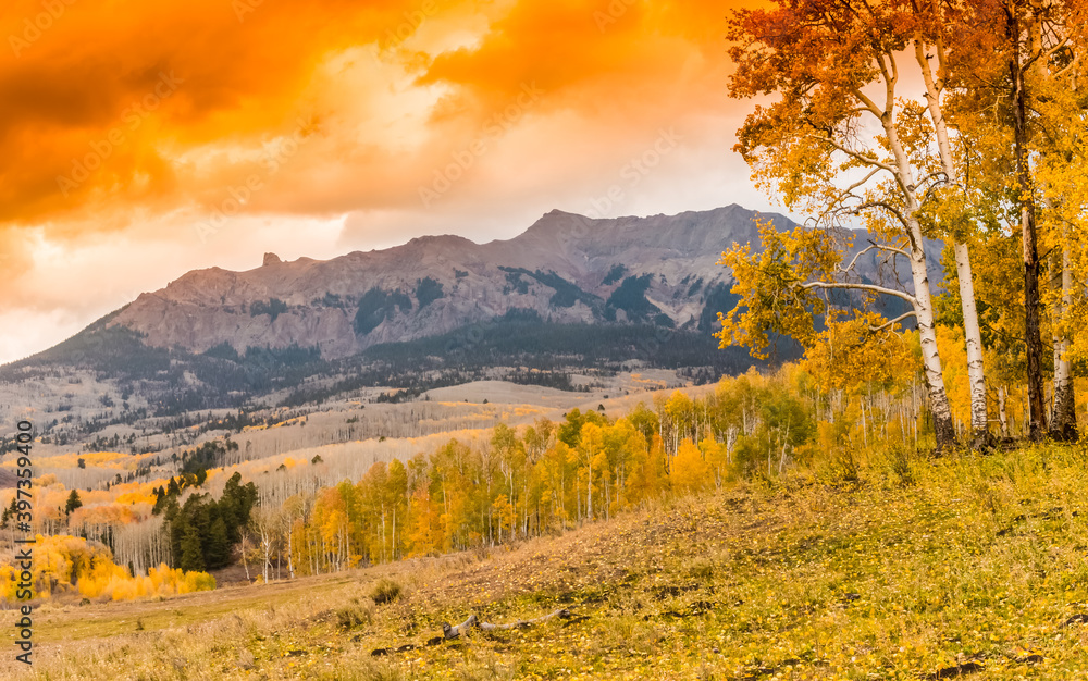 Fototapeta premium Sunset On Mount Sneffels and Wilson Peak With Golden Aspen Forest From Last Dollar Road, Near Ridgeway, Colorado, USA