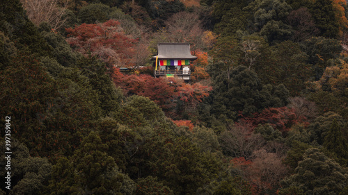 京都府 嵐山公園亀山地区展望台 紅葉 © TAKUYA ARAKI