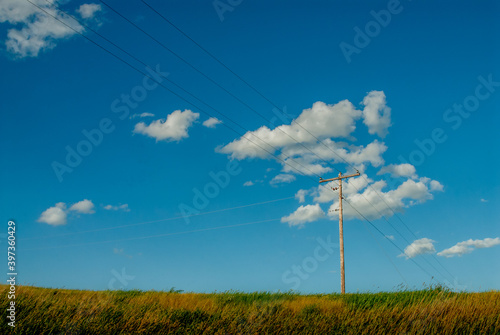 North Dakota telephone pole © Pat