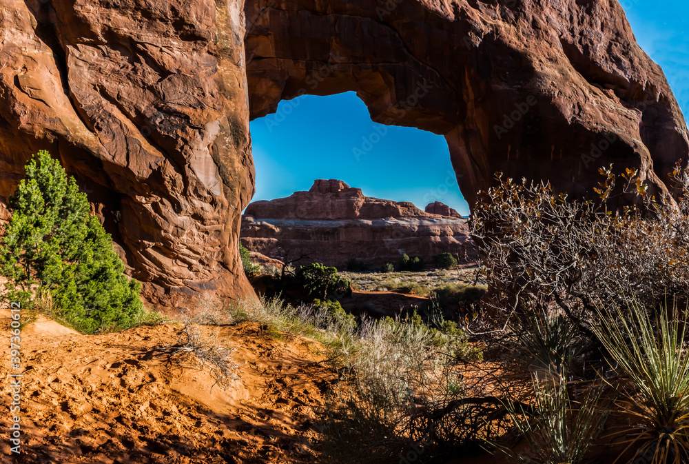 Pine Tree Arch In The Devils Garden, Arches National Park, Utah, USA
