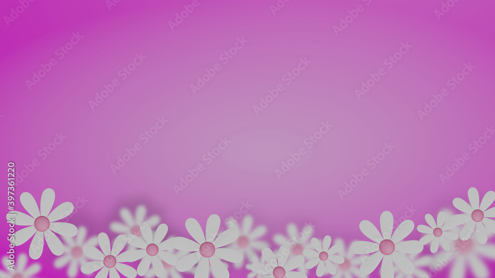 Footer frame of white daisy on circular gradient pink background (3D Rendering)
