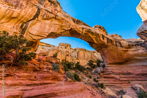 Hickman Natural Bridge Formed Into The Waterpocket Fold, Capitol Reef National Park, Utah, USA photo