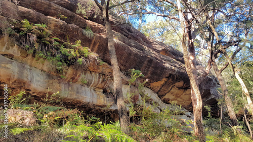 Pearl Caves on the Pearl Beach Fire Trail Overlooking the Hawkesbury River New South Wales Australia. Surrounded by Australian Bush, ferns and gum trees