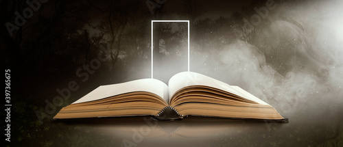 Fotografie An old book opened in the night forest