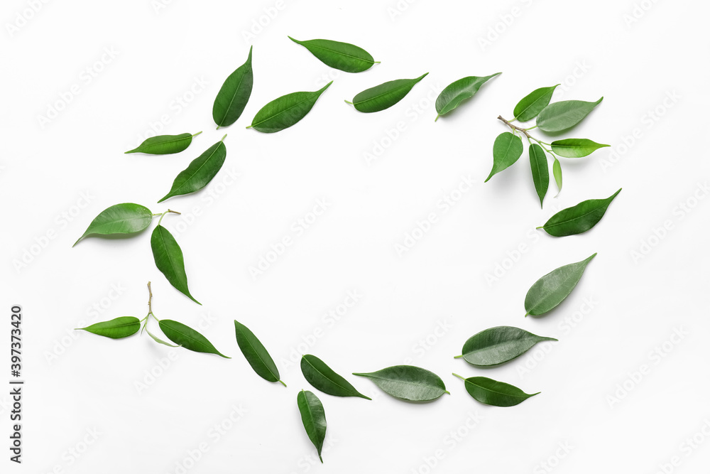 Frame made of green tea leaves on white background Frame made of green tea leaves on white background