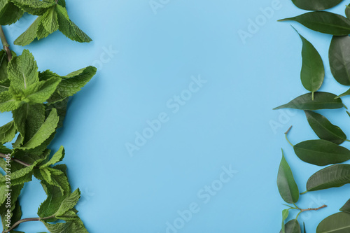 Fototapeta Naklejka Na Ścianę i Meble -  Green tea leaves on color background