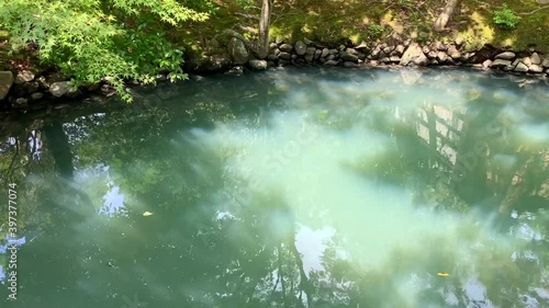 光に反射する水面とそこに映る木々