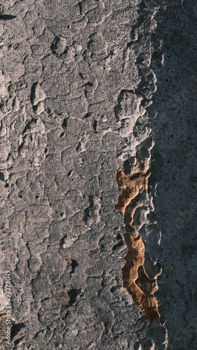 stone-like tree bark texture that looks super strong