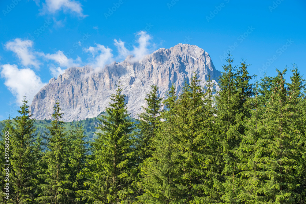 Mountain peak with spruce trees in the foreground