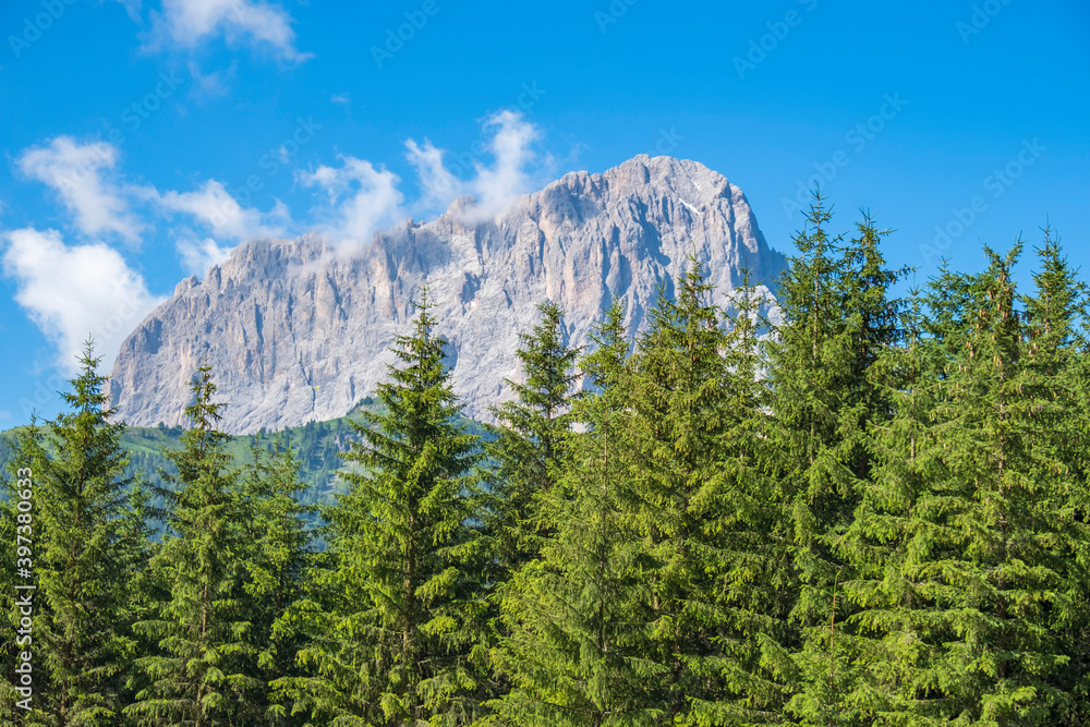 Mountain peak with spruce trees in the foreground Mountain peak with spruce trees in the foreground