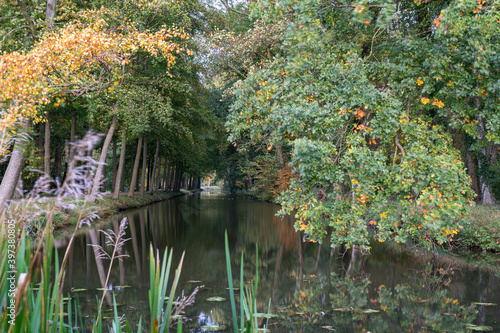 View from the Elsehof cottage on the canal  surrounded by old trees in autumn colors  around the Linschoten estate