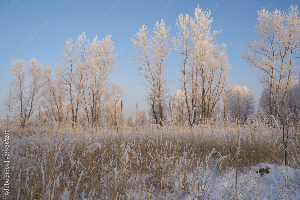 Breath of winter, first ice on the lake, dawn on a frosty morning with frost on the grass, close-up of frost, patterns on the first ice. Breath of winter, first ice on the lake, dawn on a frosty morning with frost on the grass, close-up of frost, patterns on the first ice.