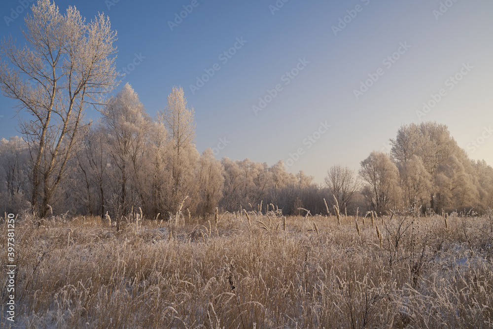 Breath of winter, first ice on the lake, dawn on a frosty morning with frost on the grass, close-up of frost, patterns on the first ice. Breath of winter, first ice on the lake, dawn on a frosty morning with frost on the grass, close-up of frost, patterns on the first ice.