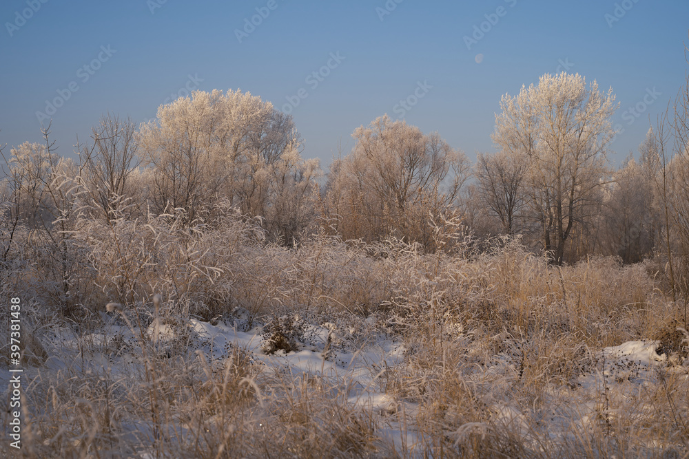Breath of winter, first ice on the lake, dawn on a frosty morning with frost on the grass, close-up of frost, patterns on the first ice. Breath of winter, first ice on the lake, dawn on a frosty morning with frost on the grass, close-up of frost, patterns on the first ice.