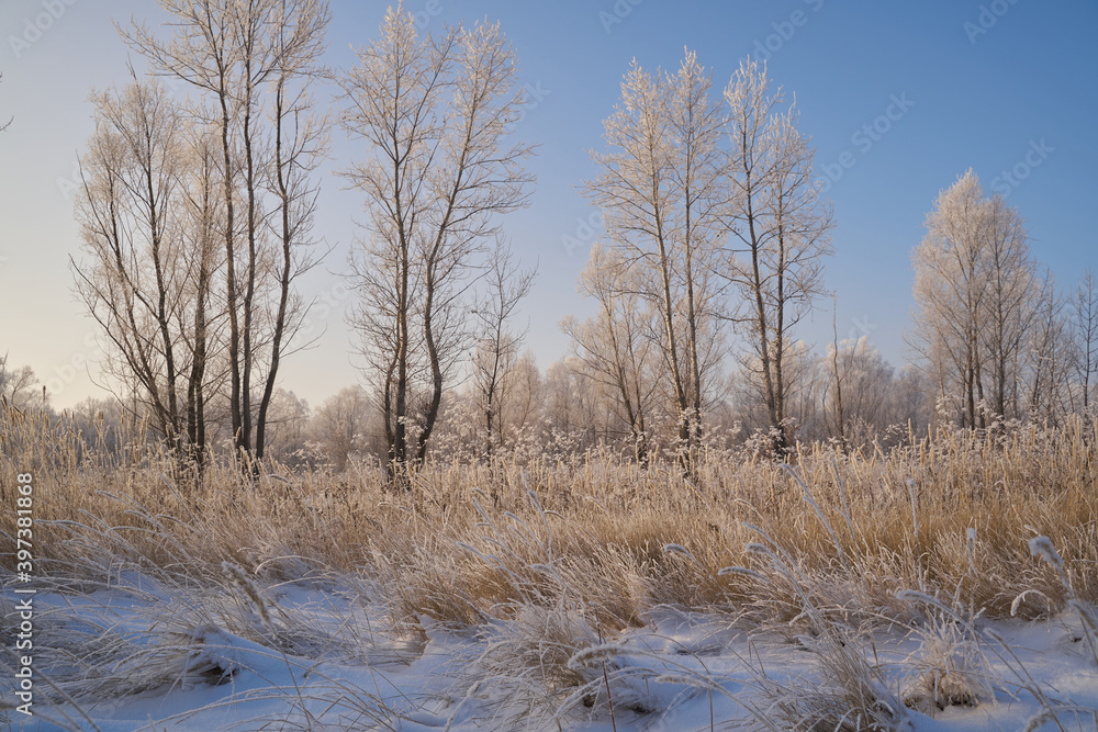 Breath of winter, first ice on the lake, dawn on a frosty morning with frost on the grass, close-up of frost, patterns on the first ice. Breath of winter, first ice on the lake, dawn on a frosty morning with frost on the grass, close-up of frost, patterns on the first ice.