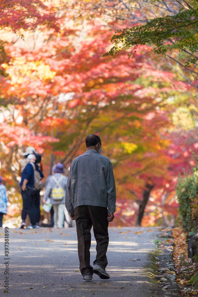 紅葉シーズンの公園で鑑賞している人々の姿