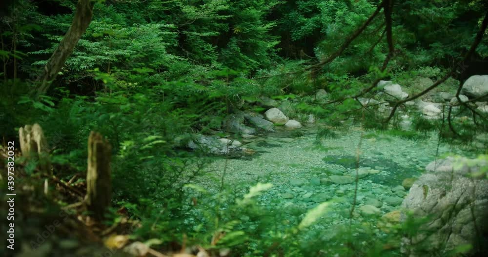 Mountain river in forest. Rocky stream in woods Mountain river in forest. Rocky stream in woods