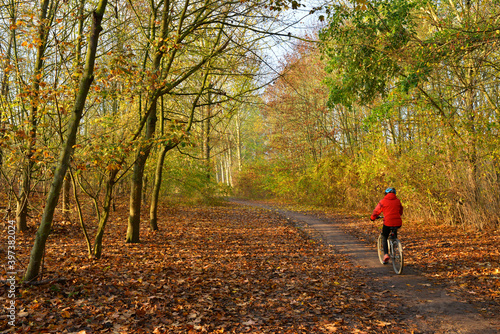 Promenade en vélo dans les bois de Cergy (95000), Val-d'Oise en Île-de-France, France © didier salou