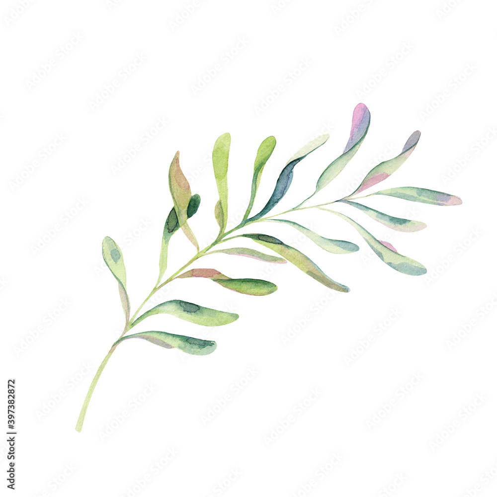Obraz premium Meet me under the mistletoe. berries on sprig with leaf.