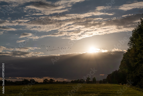 Landschaft in Brandenburg