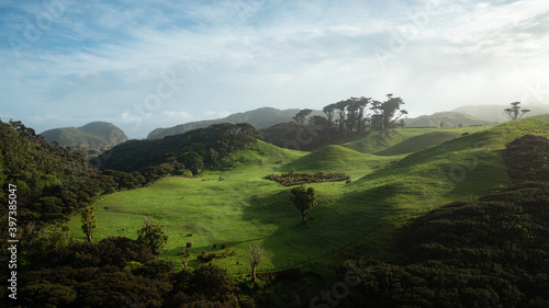 Fotografía Rolling green hills at sunrise, Wharariki Beach, South Island, New Zealand