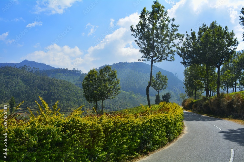 road to the mountains road to the mountains