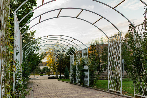 Walkway in the city's public Park. Beautiful white metal arch, lots of greenery, trees and conifers around, lawn grass along the edge, benches and lanterns. The road is tiled