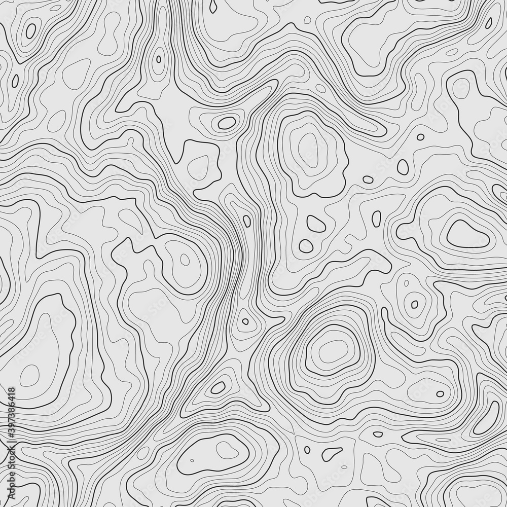 Fototapeta Background of the topographic map. Topographic map lines, contour map background. Geographic abstract grid. EPS 10 vector illustration.