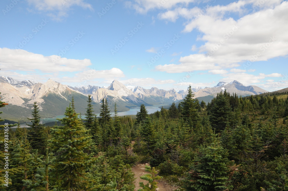 Obraz premium Jasper