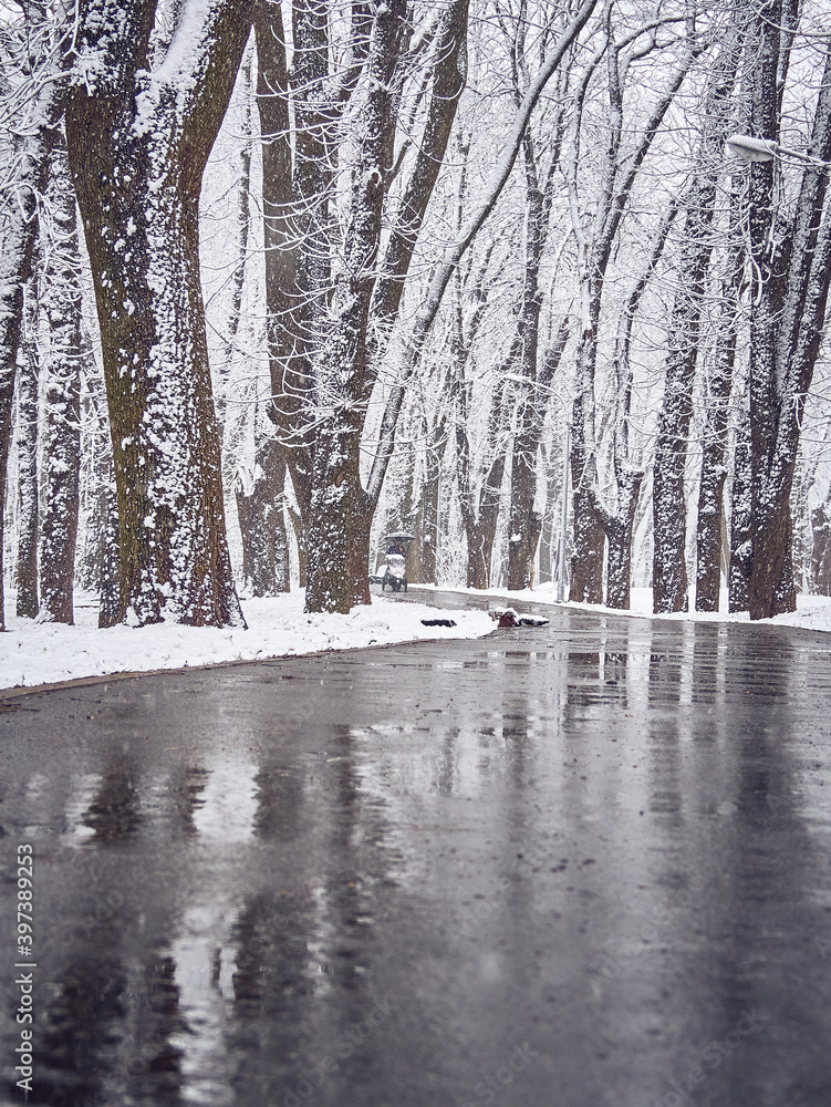 Obraz premium Snowy winter park with slush on the path